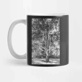 Mono Sandringham #5 Mug